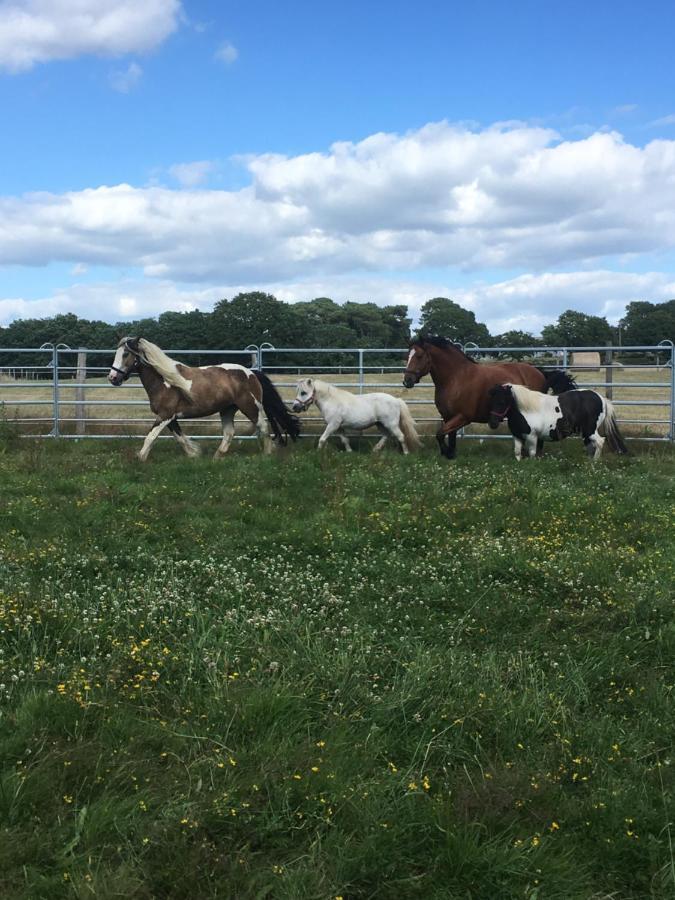Les Fermes De Kercadoret Belz Exteriör bild