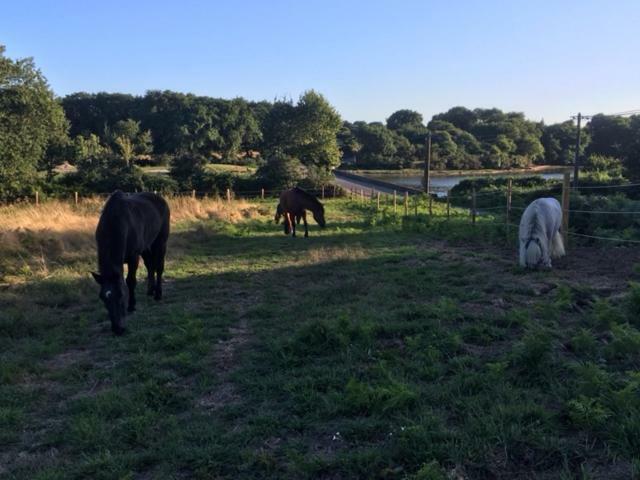Les Fermes De Kercadoret Belz Exteriör bild