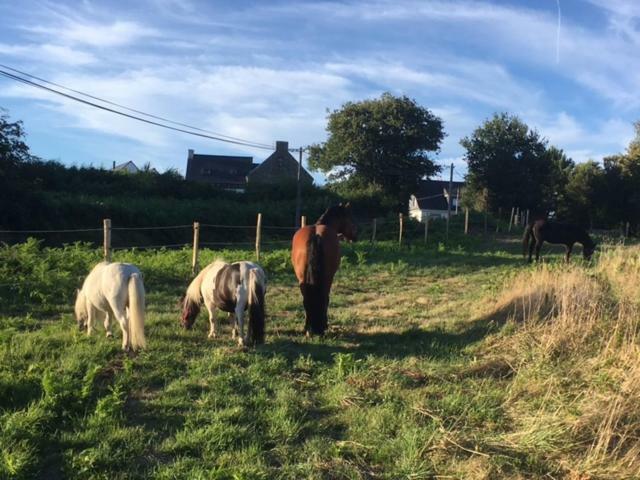 Les Fermes De Kercadoret Belz Exteriör bild
